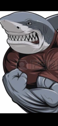 Benutzeravatar