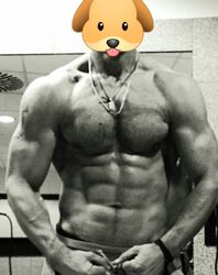Benutzeravatar